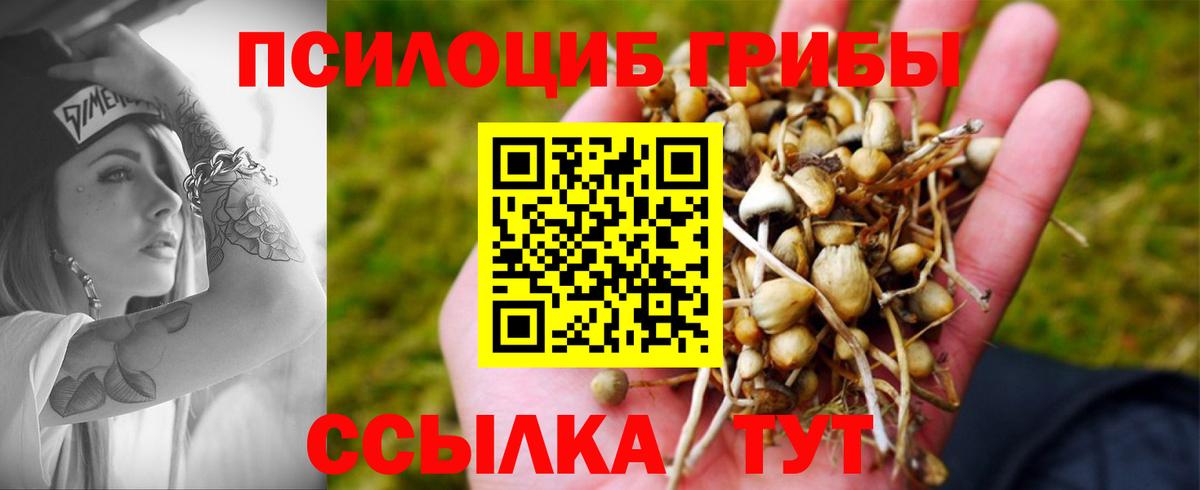 Отрадный  Псилоцибиновые грибы мухоморы  Вход с VPN  Псилоцибиновые грибы MAGIC MUSHROOMS 